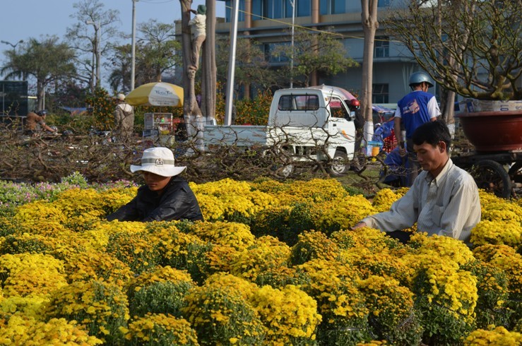 Duong hoa Da Nang chinh thuc khai hoi don khach-Hinh-3